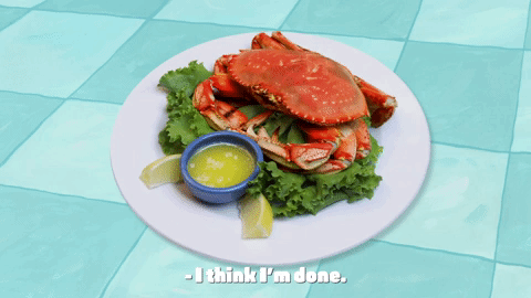 season 9 GIF by SpongeBob SquarePants