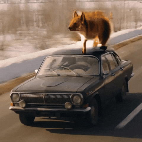 Vintage Ai GIF by Darwin
