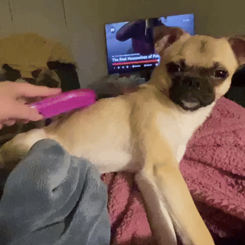 ThisRoxx grooming chug buttons thisroxx GIF