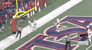 utsaroadrunners utsafootball GIF by UTSA Athletics