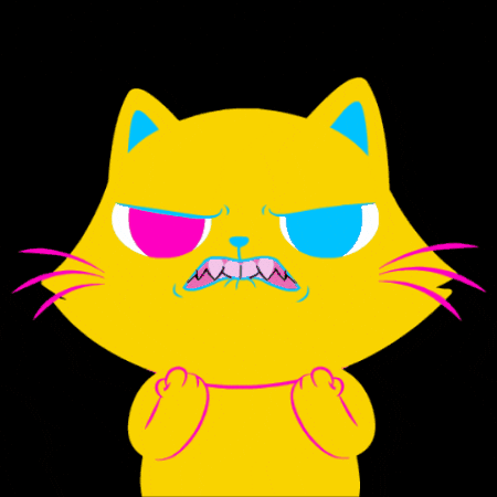 Angry Cats GIF