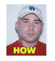 Record Label Australian Music Sticker by Mushroom Music