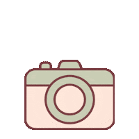 CarmiBelgium photo camera flash carmi Sticker