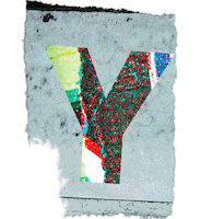Art Fashion Sticker