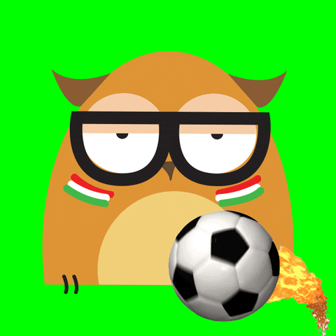 football soccer GIF by Alex the owl