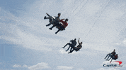 Yell Good Times GIF by Capital One