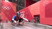 luging winter olympics GIF by Hornet