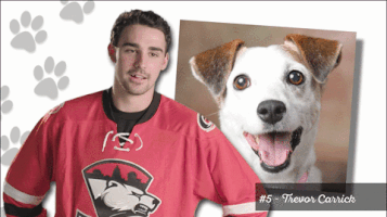 checkershockey funny hockey charlotte ahl GIF