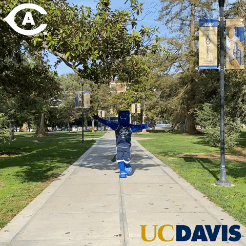 Mascot Hug GIF by UC Davis