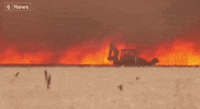 Climate Change Wildfires GIF by GIPHY News