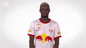 Red Bull Sport GIF by FC Red Bull Salzburg
