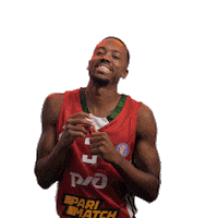 Loko3 Sticker by Lokobasket