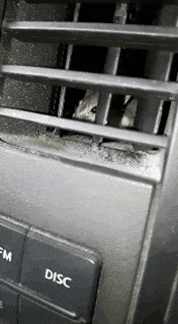 guy way GIF