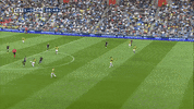Sport GIF by FOX Sports
