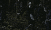 the lobster dance GIF by A24