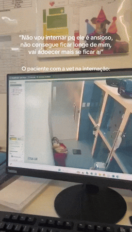 cuteanimalland giphyupload GIF