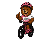 No Limits Ok Sticker by ReinosaNoLimits