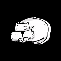 voteforpralka dog sleep westie voteforpralka GIF