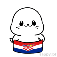 Lets Go Football GIF by Sappy Seals