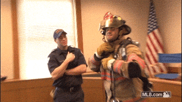 detroit tigers GIF by MLB