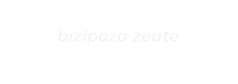 Euskaraz Sticker by BULEGO