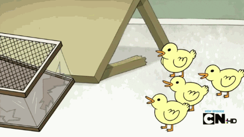 regular show a bunch of baby ducks GIF