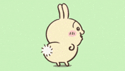 うさぎ GIF