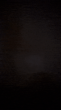 Borris Hiding GIF by Kingborris
