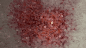 Fish Fry Crowd GIF by U.S. Fish and Wildlife Service