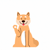 oyenpetinsurance  GIF