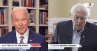 Joe Biden Chess GIF by Election 2020