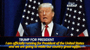 Donald Trump President GIF