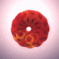 orange chaotic atmospheres GIF by NeonMob