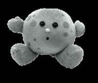 CelestialBuddies moon buddy celestial celestialbuddies GIF