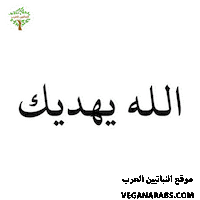 عربي Sticker by VeganArabs