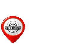 Rancho Cavalos Sticker by One Ranch