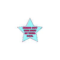 Dog Trainer Star Sticker