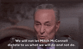 Chuck Schumer GIF by GIPHY News