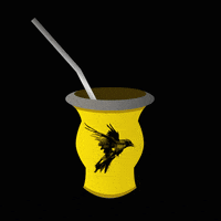 estudiovolando  GIF