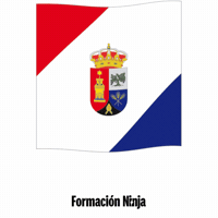 Castilla Y Leon Flag GIF by Formación Ninja