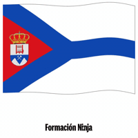 Castilla Y Leon Flag GIF by Formación Ninja