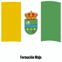Castilla Y Leon Flag GIF by Formación Ninja