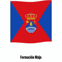 Castilla Y Leon Flag GIF by Formación Ninja