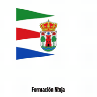 Castilla Y Leon Flag GIF by Formación Ninja