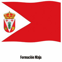 Castilla Y Leon Flag GIF by Formación Ninja