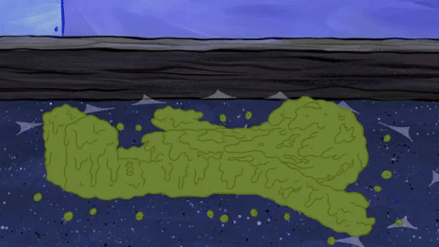 episode 1 GIF by SpongeBob SquarePants