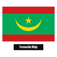 Flag Bandera Sticker by Formación Ninja