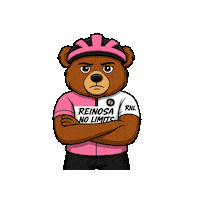 No Limits Ciclismo Sticker by ReinosaNoLimits