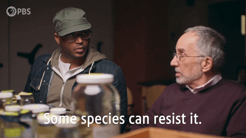 Resist Episode 4 GIF by PBS