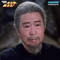 Martial Arts Whatever GIF by Arrow Video